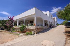 Hotels in Zastrazisce